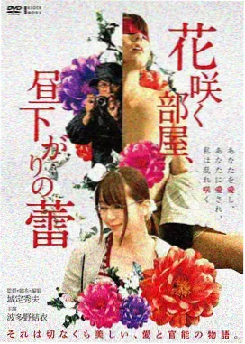 我的父亲母亲 电影海报